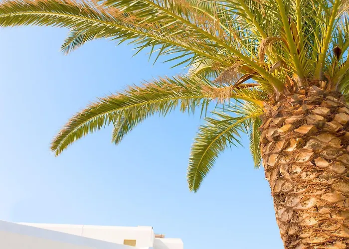 Hotel Mikri Vigla Hotel 3*